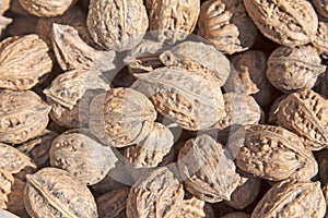 Piles of walnut together in a market