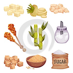 Piles of White and Brown Sugar Cubes with Sugar Beet and Sugarcane Plant Vector Set