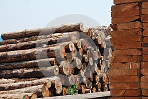 Piles of wood boards and original woods