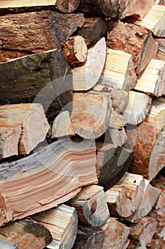 Piles of wood logs