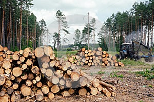 Piles of wooden. Warehouse outdoors. Wood timber stack. Lumber Industry