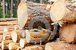 Piles of wooden. Warehouse outdoors. Wood timber stack. Lumber Industry