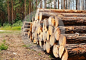 Piles of wooden. Warehouse outdoors. Wood timber stack. Lumber Industry