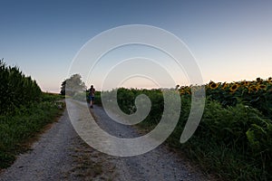 Pilgrim along the Chemin du Puy, French route of the Way of St James