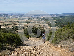 Pilgrim along the way of St. James. Man walking on Camino de Santiago.