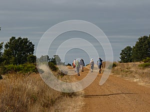 Pilgrim along the way of St. James. Man walking on Camino de Santiago.