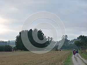 Pilgrim along the way of St. James. Man walking on Camino de Santiago.