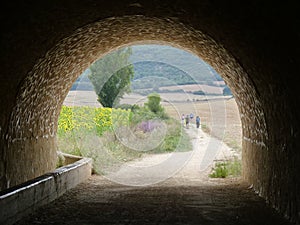 Pilgrim along the way of St. James. Man walking on Camino de Santiago. photo