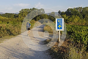 Pilgrim walking alone passing by a yellow shell and arrow sign that guides the pilgrims along the Camino de Santiago, Spain.