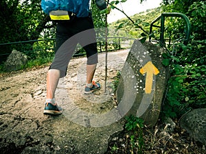 Pilgrimage at Camino de Santiago