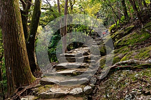 Pilgrimage to Japan shrine