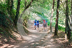 Pilgrimns along the way of St. James