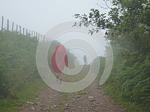 Pilgrims along the way of St. James. People walking on Camino de Santiago.