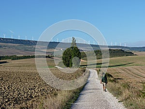 Pilgrims along the way of St. James. People walking on Camino de Santiago.