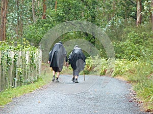 Pilgrims along the way of St. James. People walking on Camino de Santiago. photo