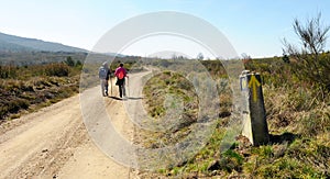 Pilgrims on the Camino de Santiago, Camino Sanabres from Campobecerros towards the town of Laza, Orense province, Spain photo