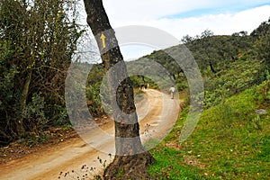 Pilgrims in the Mozarabic Camino de Santiago, Cerro Muriano, Cordoba, Spain photo