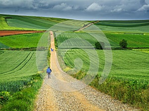 Pilgrims walking along the road to Santiago, through the lands of Castilla, Spain