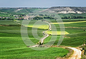 Pilgrims walking along the road to Santiago, way of saint james, Spain