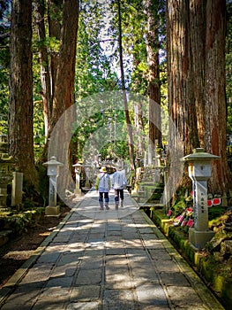 Pilgrims walking the long path in the Okunion cemetery towards the Kobo Daishi mausoleum in the UNesco WOrld Heritage site Koyasan