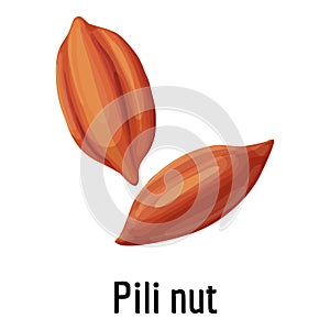 Pili nut icon, cartoon style