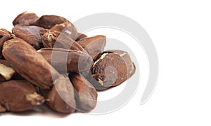 Pili Nuts from the Philippines Isolated on White Background