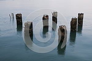 Pilings