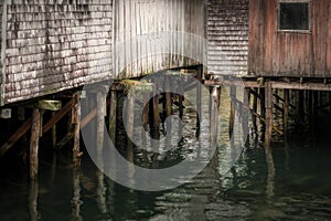 Pilings at Base of Wharf Buildings - Horizontal