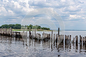 Pilings on the Bay