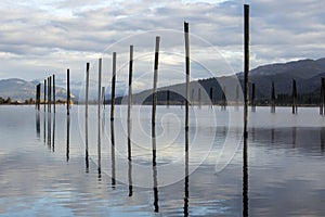 Pilings in the calm water.