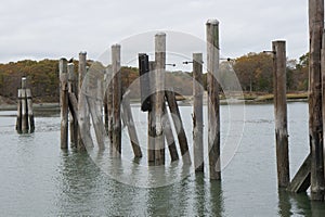 Pilings in a river