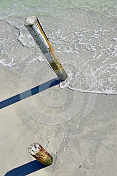 Pilings in the sand