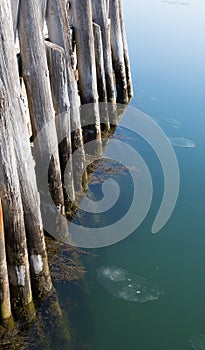 Pilings In Water