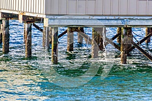Pilings  And Water Streams
