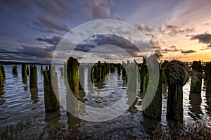 Pilings in water at sunset.