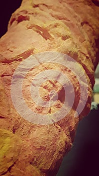 Pillar of fire escape from egypt