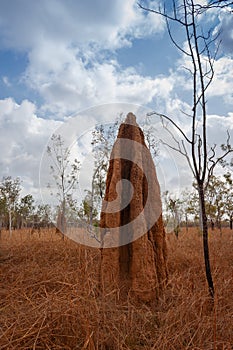 Pillar formations along the Northern Territory desert roads, Australia