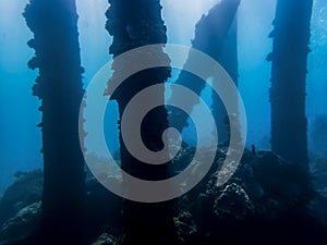 Pillars from Collapsed Pier Crusted with Coral Underwater in Blu