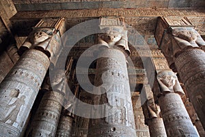 Decorated pillars and ceiling in Dendera temple, Egypt photo