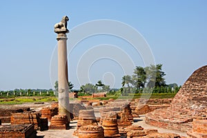 The pillars found at Vaishali with single lion capital
