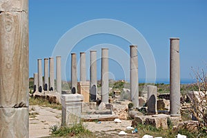 Pillars overlooking the sea, Leptis Magna, Libya