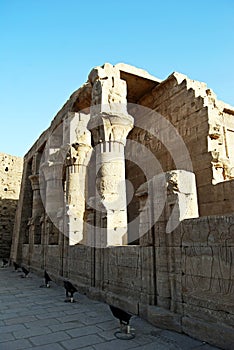 Pillars, reliefs and statue at the Edfu Temple. Nubia, Egypt photo