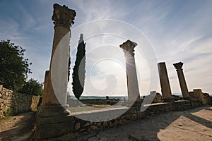 Pillars of the roman ruins, Volubilis, Morocco