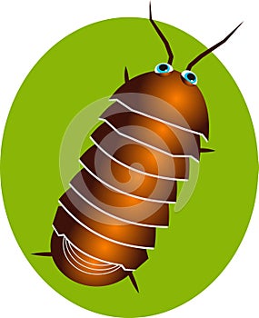 Pillbug