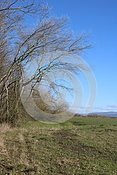 Pilling Marsh from Pilling Amenity area photo