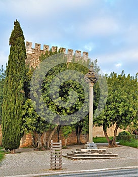 The pillory and the castle tower photo