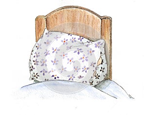 Pillow