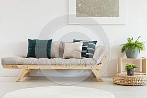 Pillows on beige couch in tasteful living room interior with plant on wooden stand