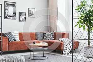 Pillows and blanket on brown velvet corner sofa in elegant living room interior