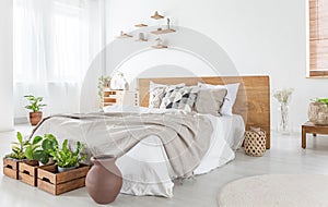 Pillows and sheets on wooden bed in bright bedroom interior with plants and windows. Real photo